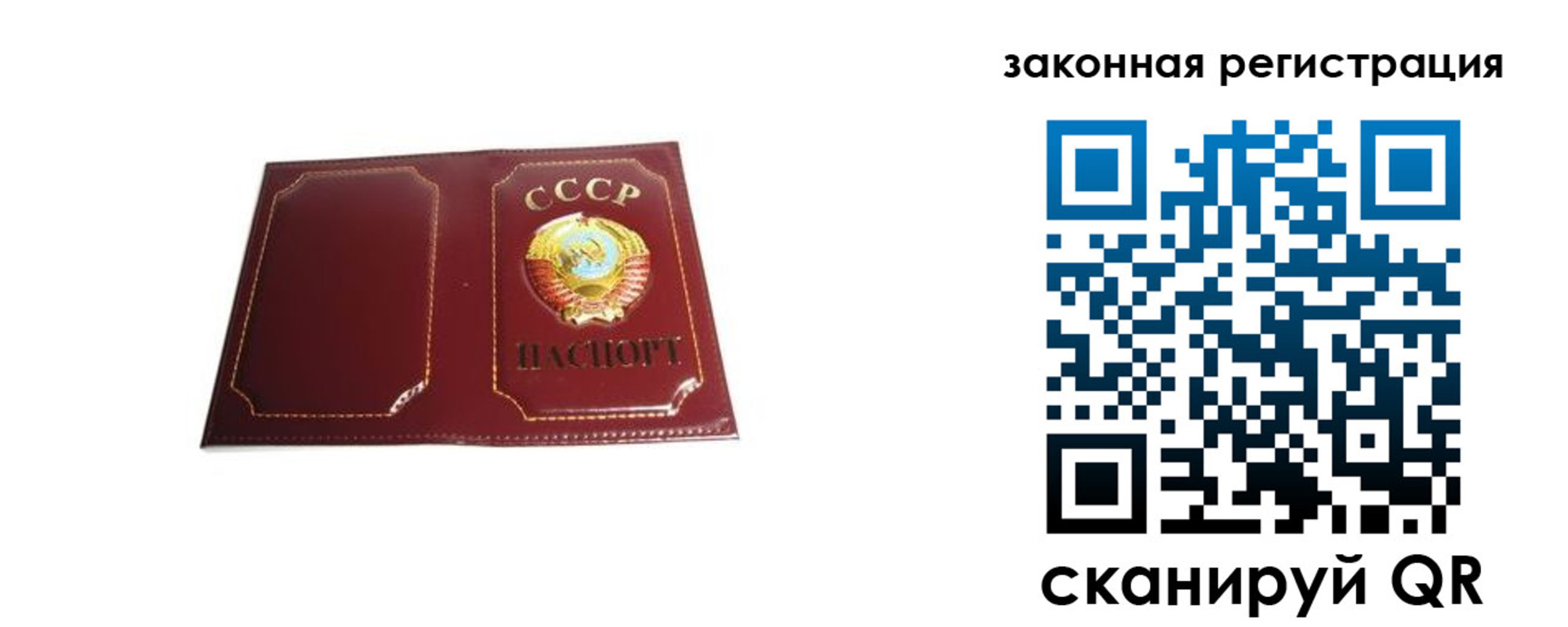 прописка поиск в Ковдоре